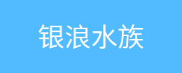 移動式液壓登車橋